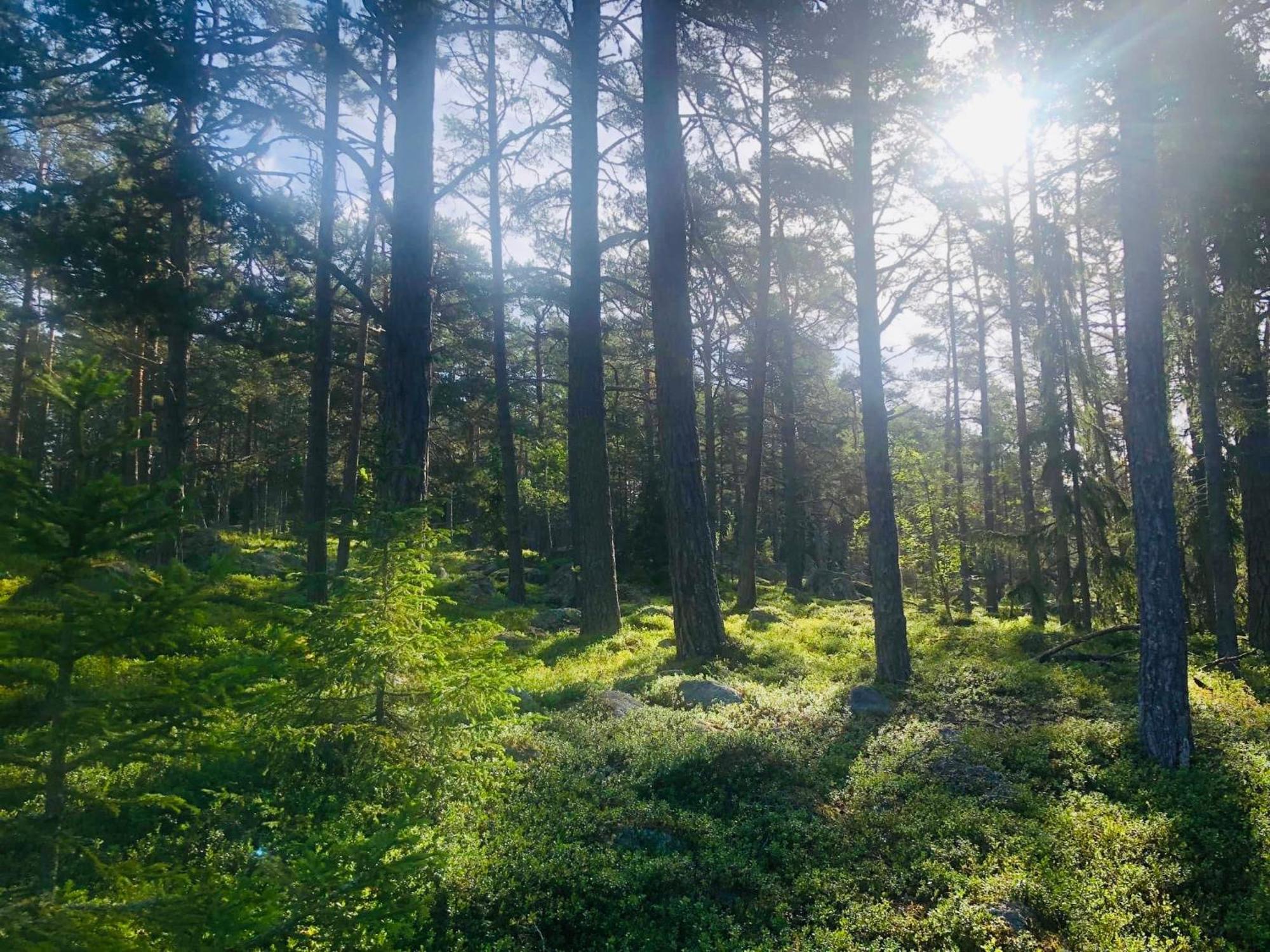 Hoelick Havsresort & Spa Hudiksvall Kültér fotó