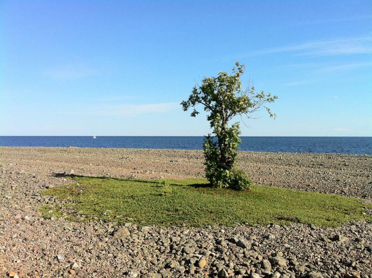 Hoelick Havsresort & Spa Hudiksvall Kültér fotó